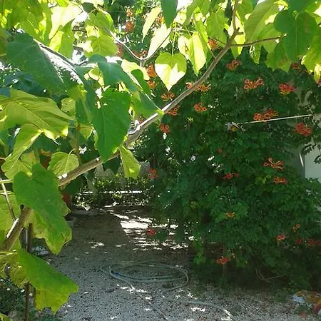 Gazde/Camere de închiriat Vila Laguna Paradis