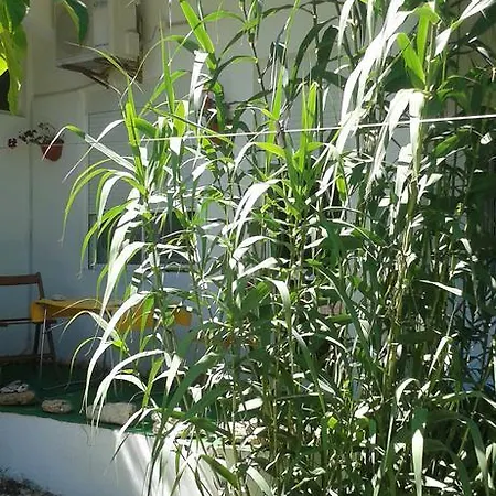 Vila Laguna Paradis Vama Veche
