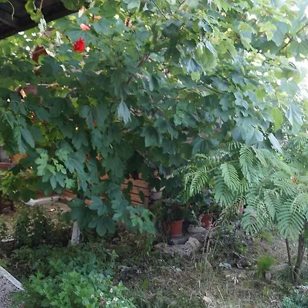 Vila Laguna Paradis * Vama Veche
